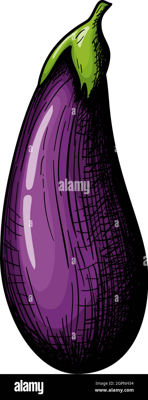 Eggplant Icon Stock Vector