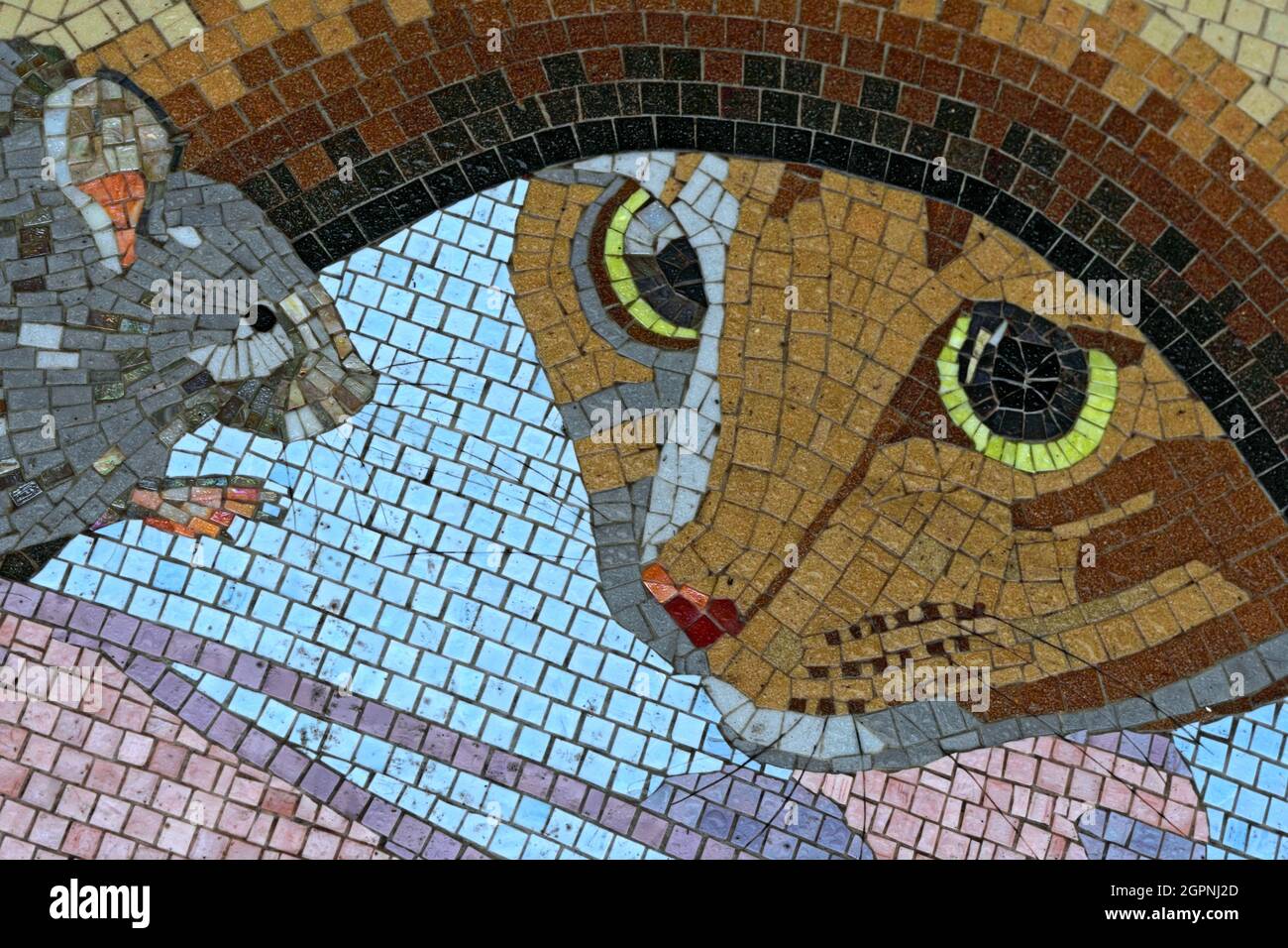 Cat by mosaic hi-res stock photography and images - Alamy