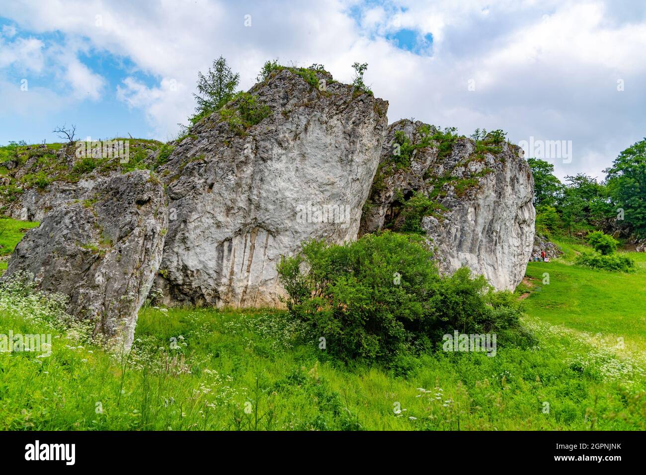 Kolibky limestone rock formation in Rudice Sink, Czech Rudicke