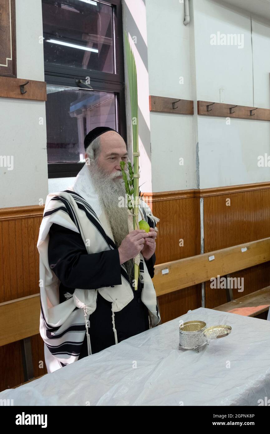 An orthodox Jewish man blesses an esrog & lulav on Sukkos. In a near empty synagogue in Williamsburg, Brooklyn New York City Stock Photo