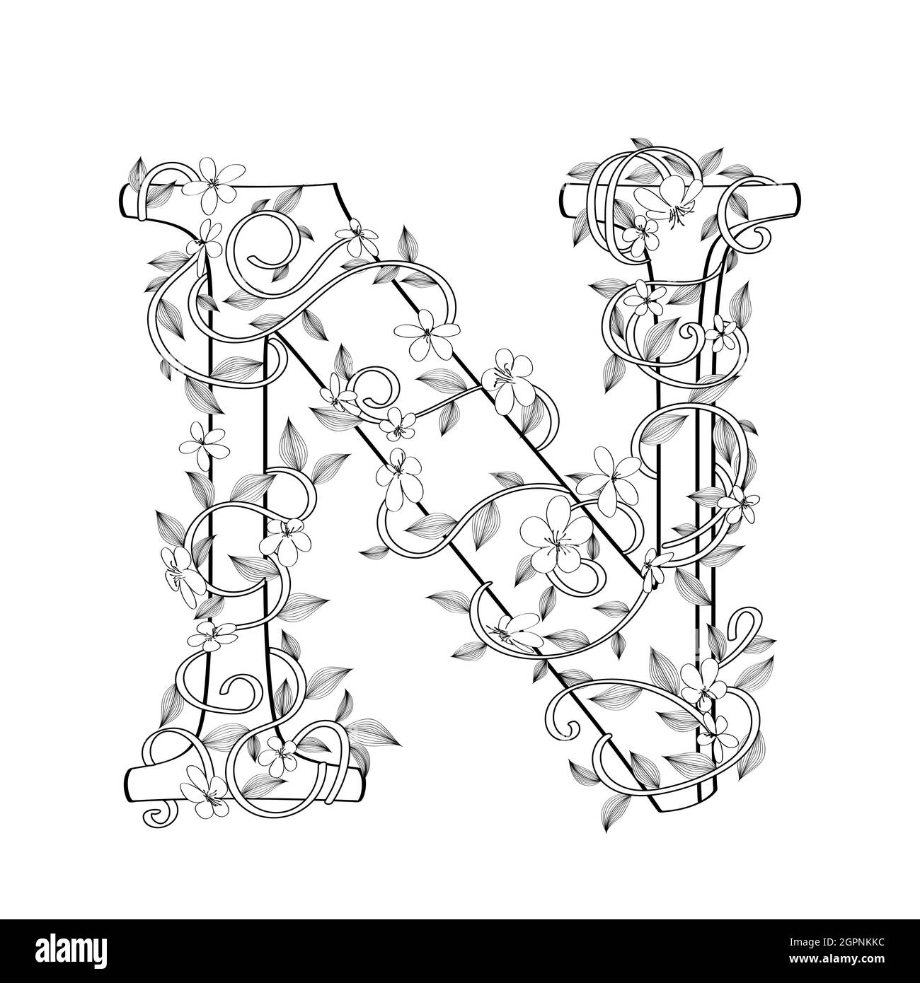 Letter N floral sketch Stock Vector Image & Art Alamy