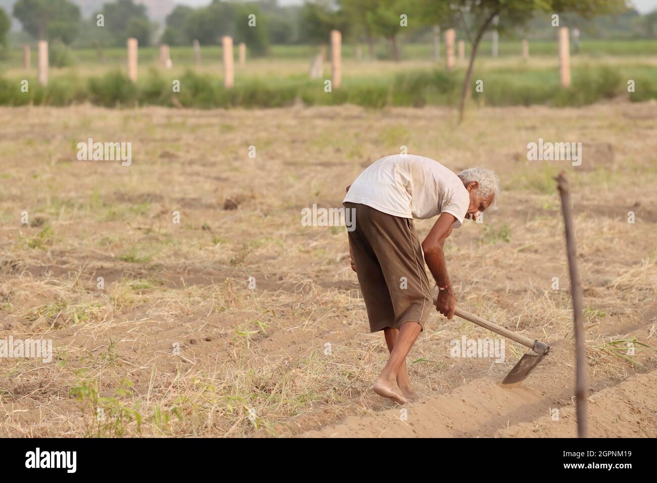 Close-up of An Indian-origin farmer uses a shovel to make a raw drain ...
