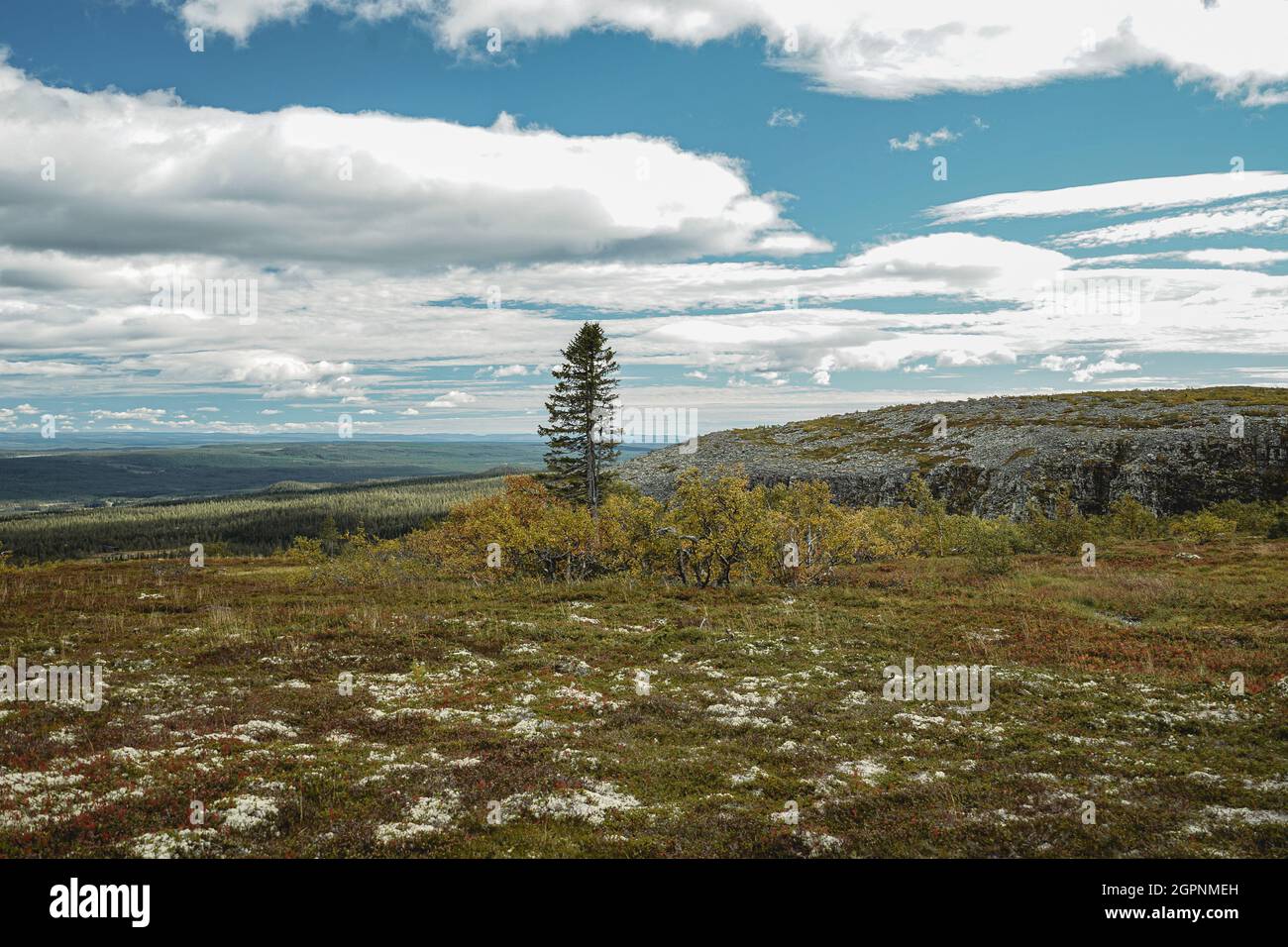 Hiking in the National park Fulufjallet in Sweden Stock Photo - Alamy