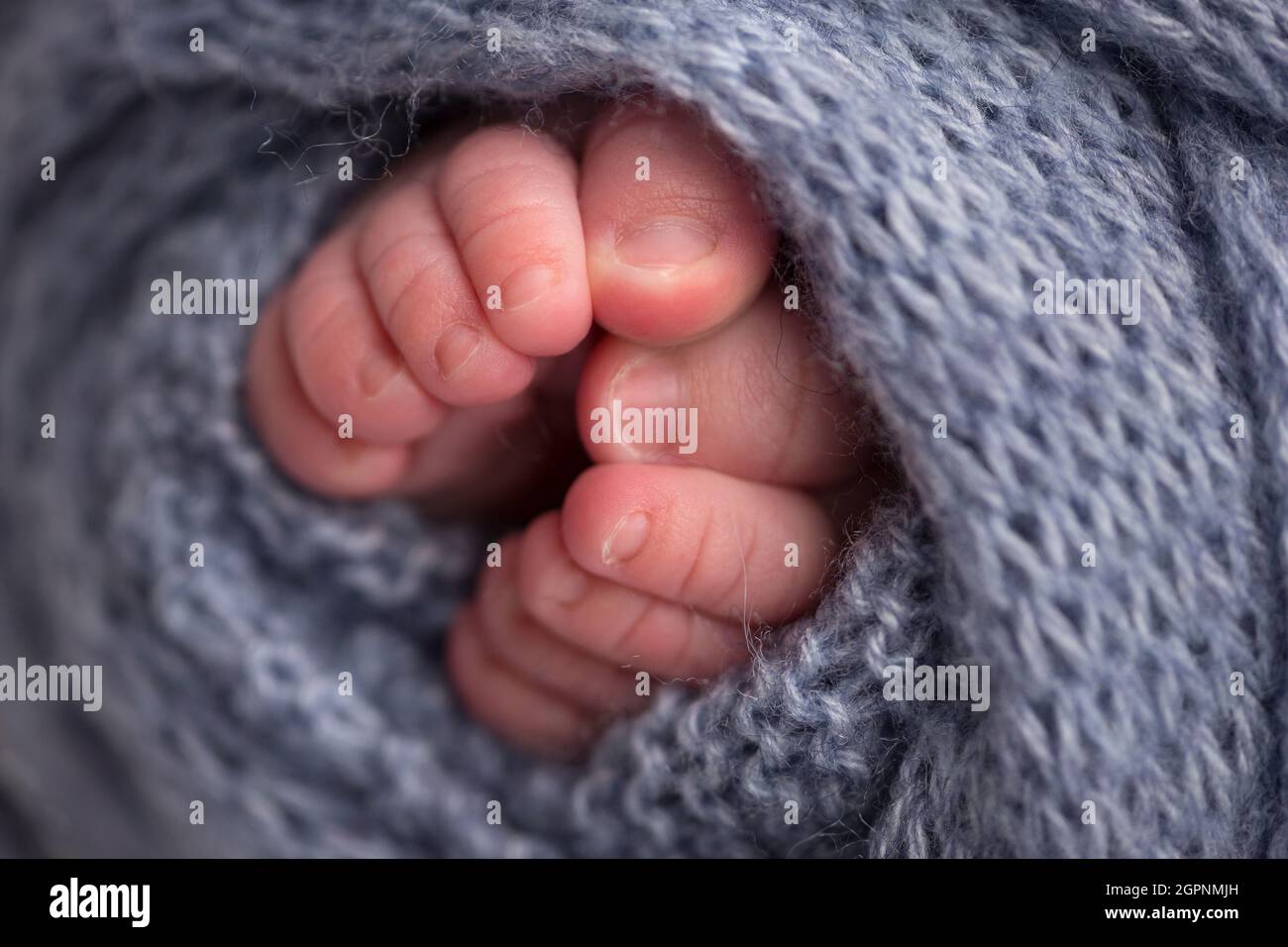 A close-up photo of a newborn's legs on a light gray plaid. Legs and toes of a newborn in a soft white blanket Stock Photo