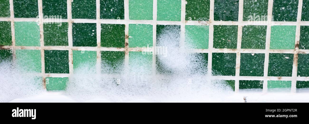 mold on joints between the ceramic tile in bathroom with a cleaning