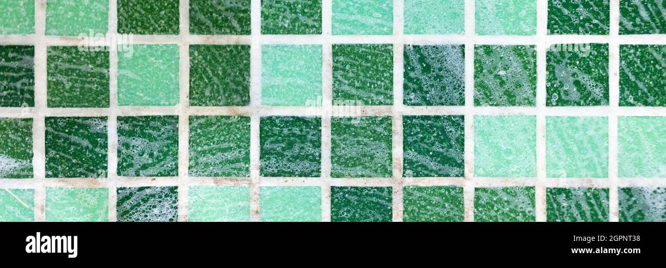 mold on joints between the ceramic tile in bathroom with a cleaning