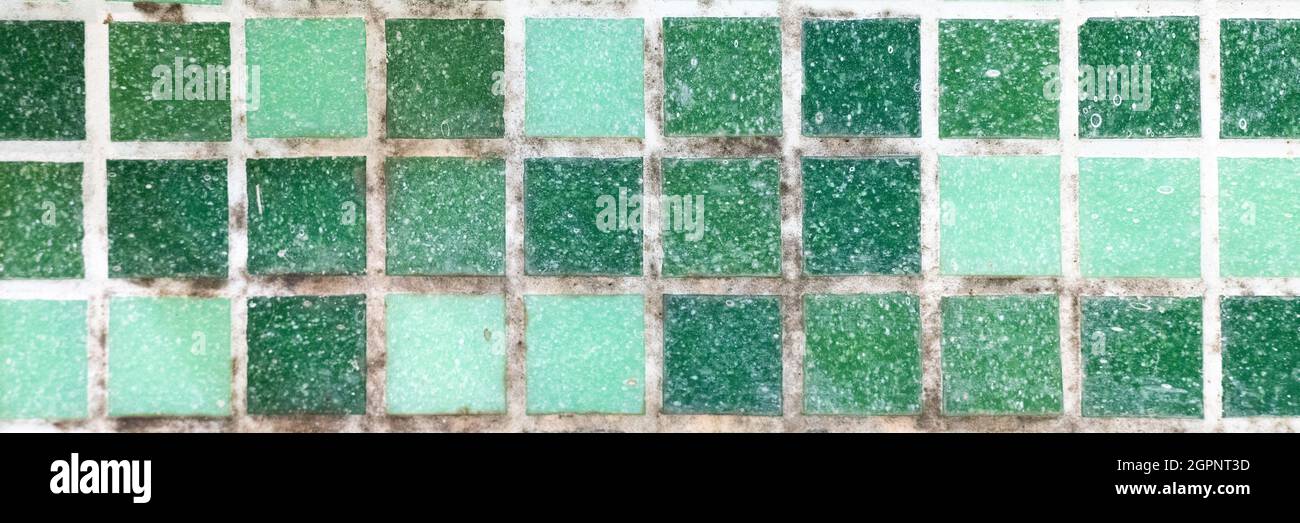 mold on joints between the ceramic tile in bathroom. old black toxic