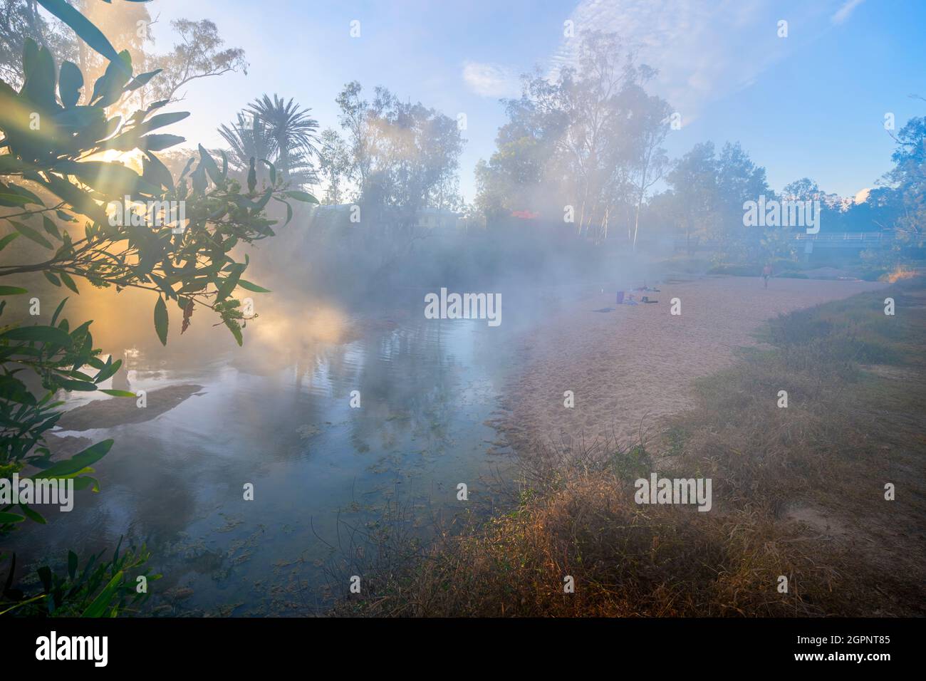 Steam rising at sunrise from the natural mineral hot water flowing in Nettle Creek, Innot Hot Springs, North Queensland Australia Stock Photo