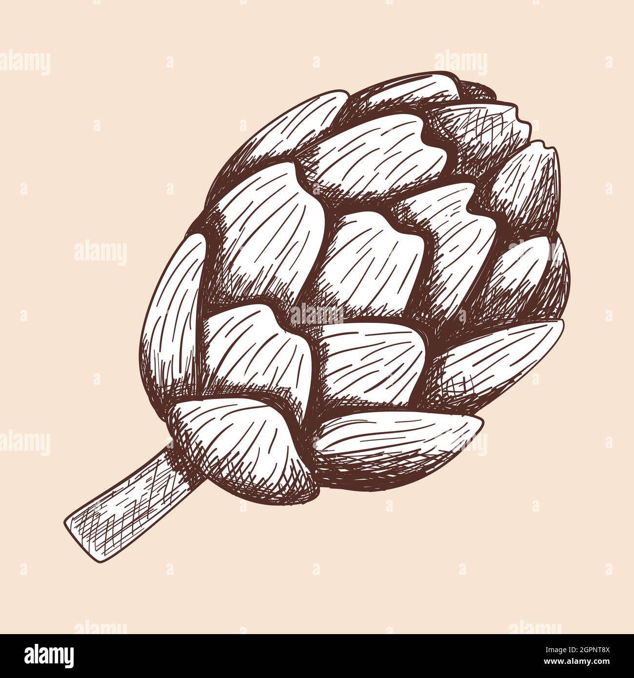 Artichoke Icon Stock Vector
