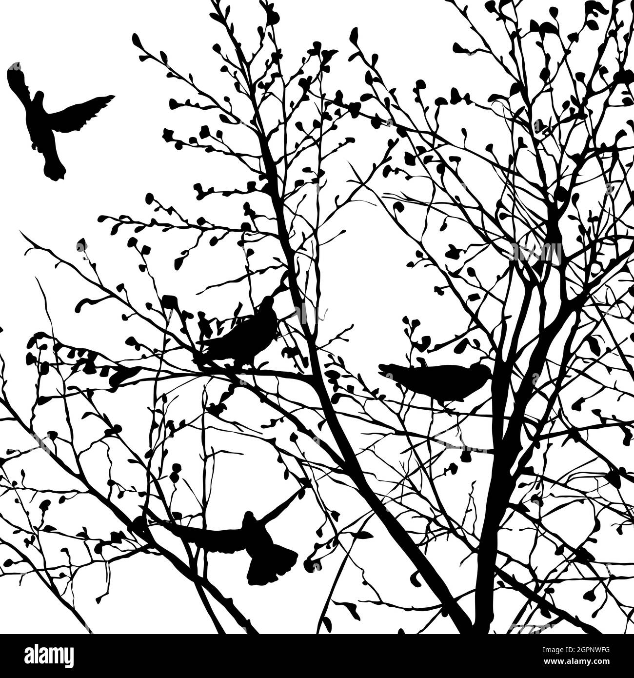 Pigeon silhouettes in the trees Stock Vector