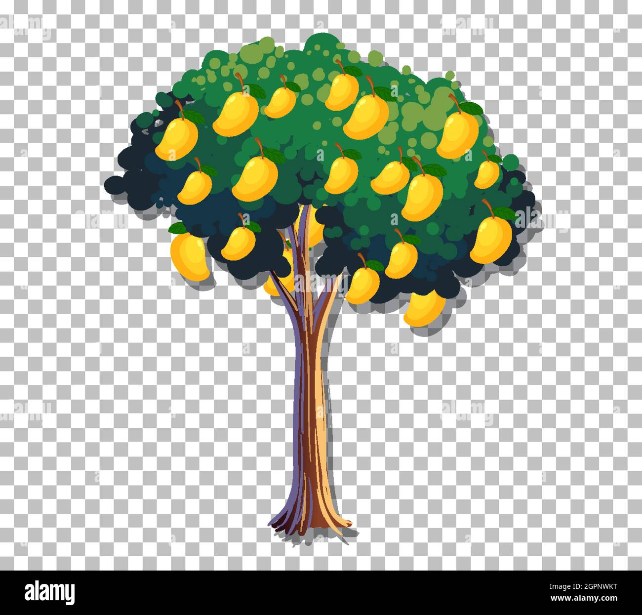 Mango tree on transparent background illustration Stock Vector