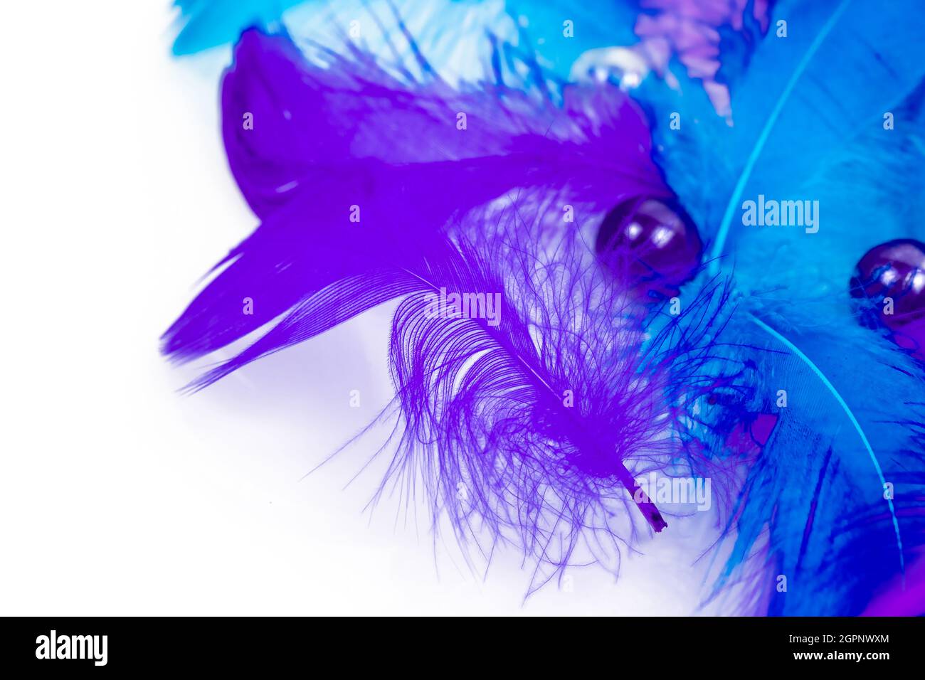 Feather background - small fluffy blue feathers randomly scattered on white table Stock Photo