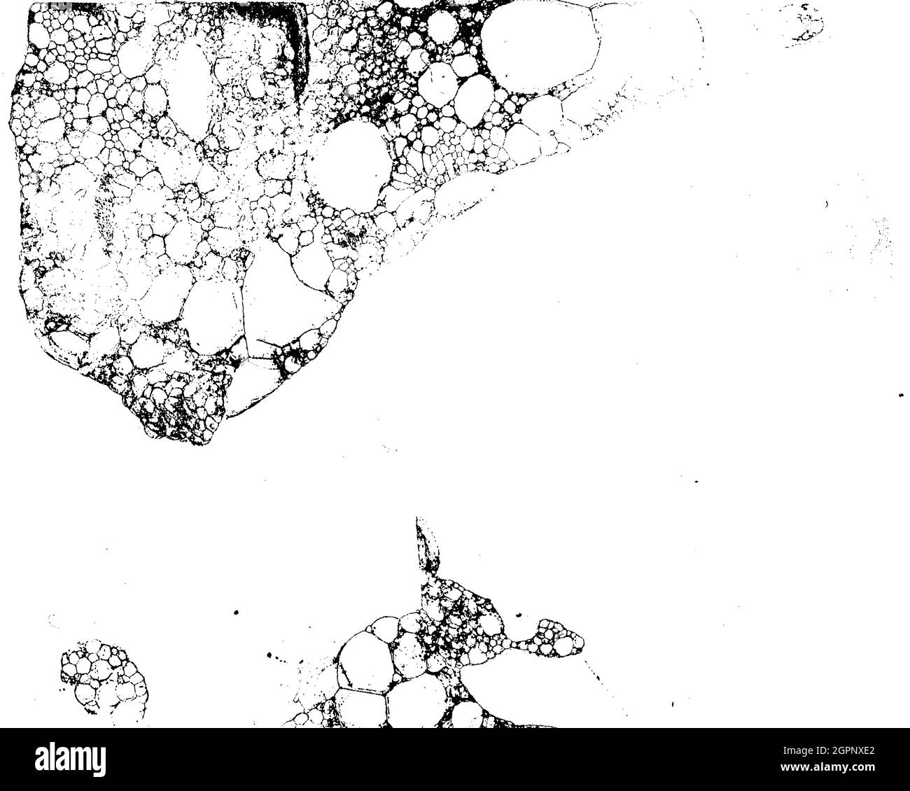 Dirty grunge background 52 Stock Vector Image & Art - Alamy