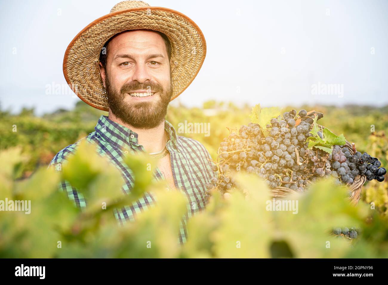 satisfied farmer in the vineyard Stock Photo