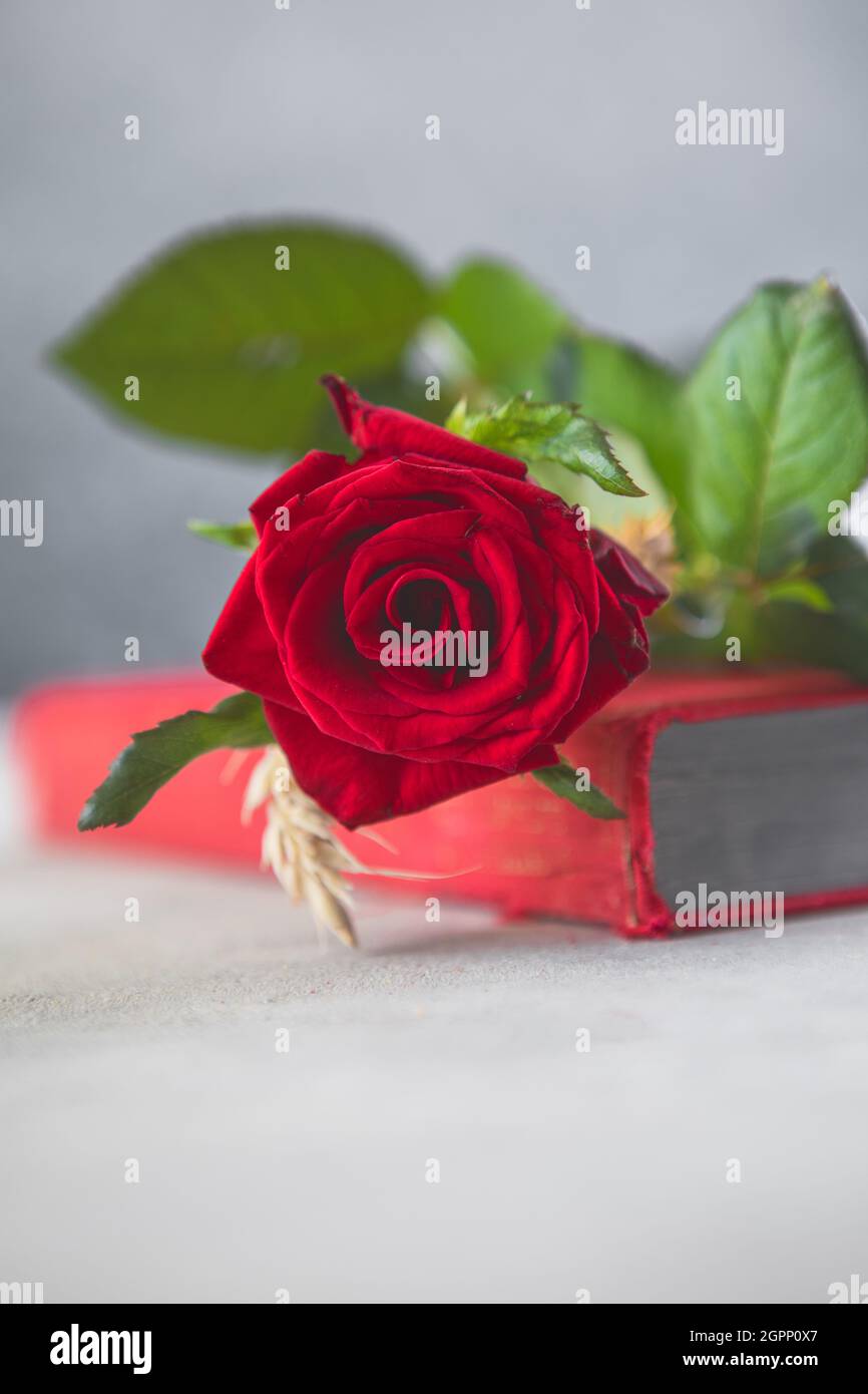 The Name Of The Rose Book High Resolution Stock Photography and Images -  Alamy