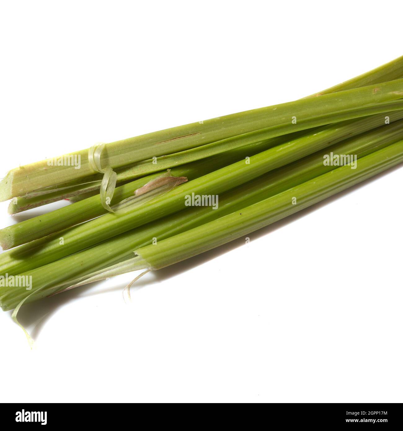 Green Rhubarb stalks Stock Photo