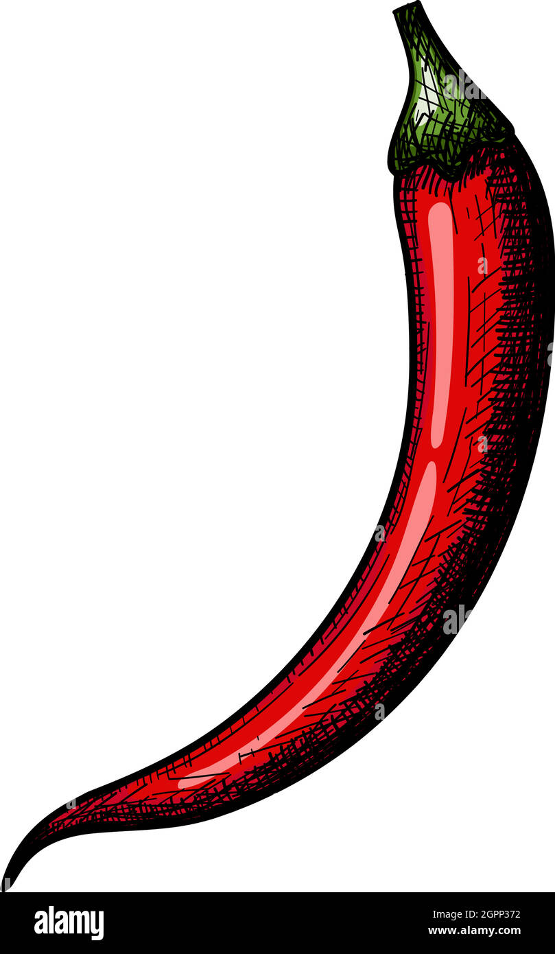 Chili Pepper Icon Stock Vector