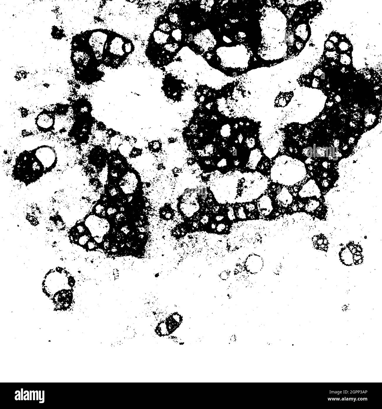 Vector grunge texture 4 Stock Vector Image & Art - Alamy