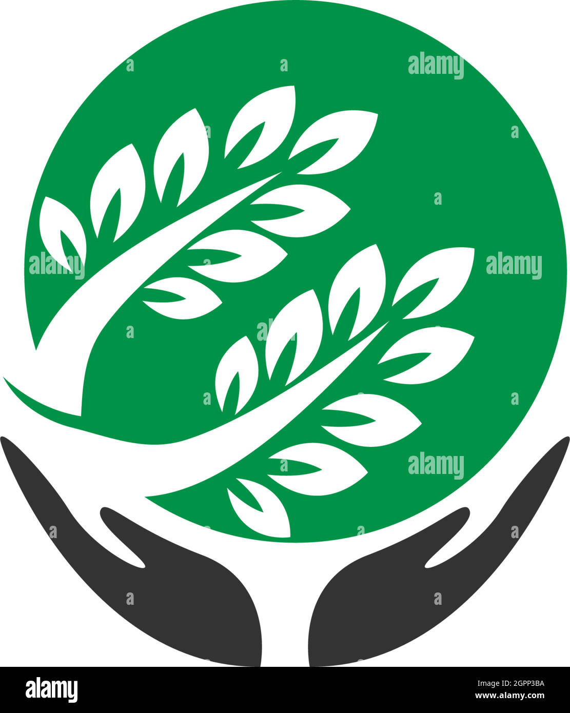 Tree icon Tree branch design vector illustration Stock Vector Image ...