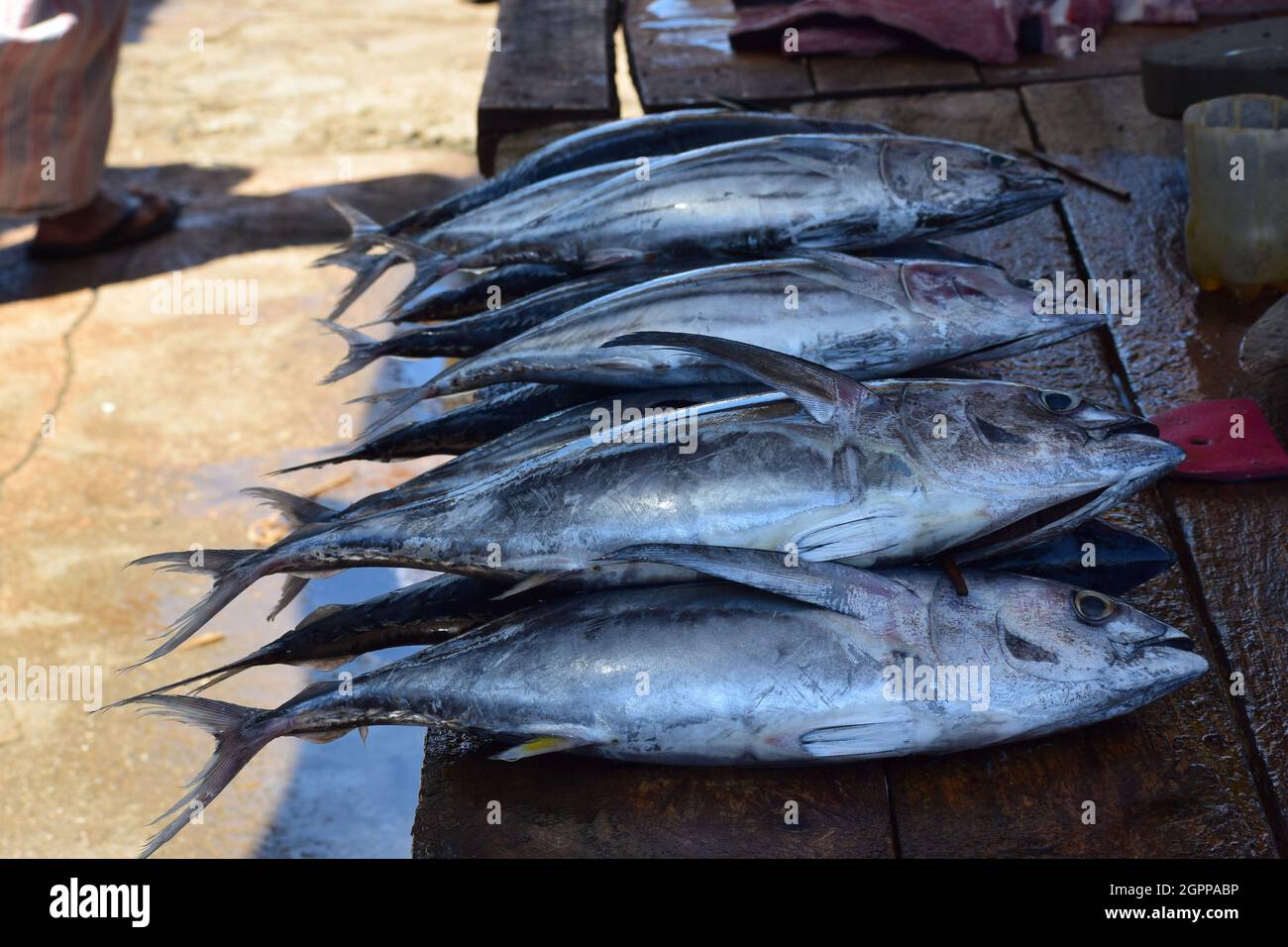 Fish selling on market Stock Photo
