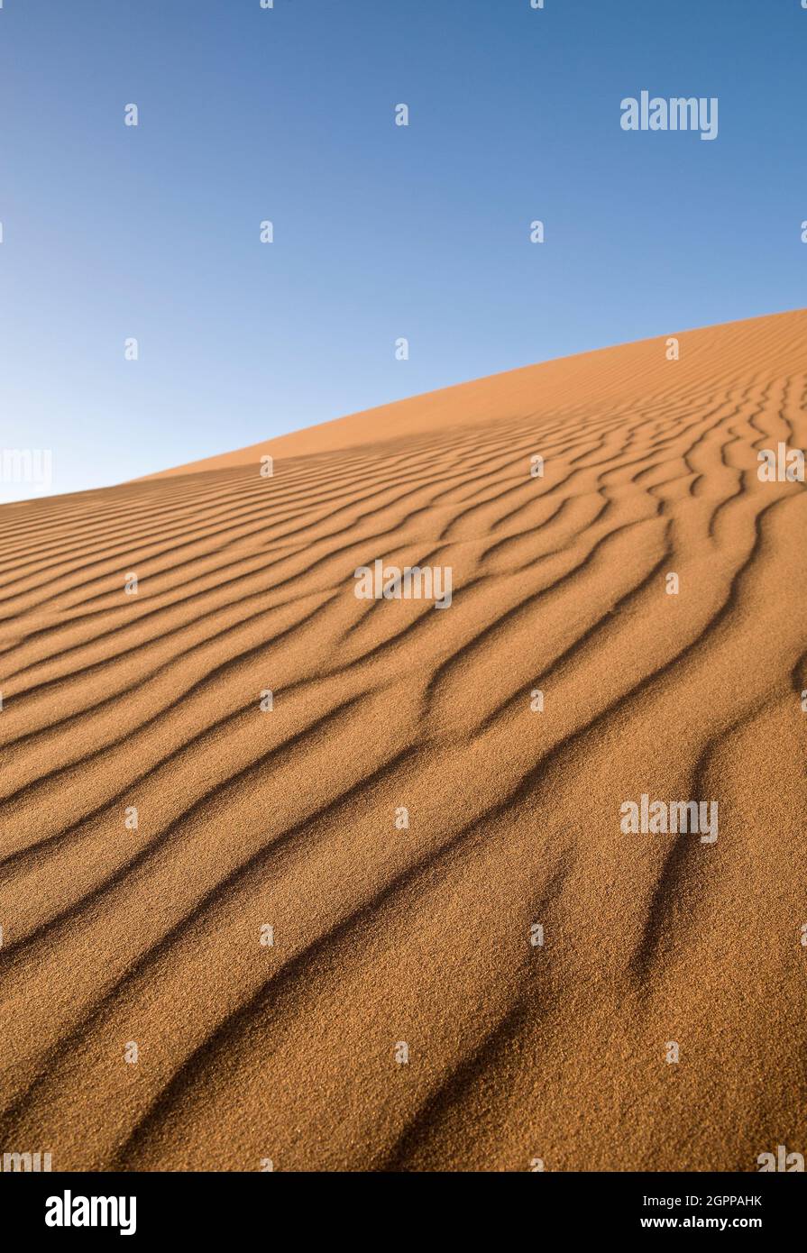 Morocco, Rippled sand of Erg Chigaga on Sahara Desert Stock Photo