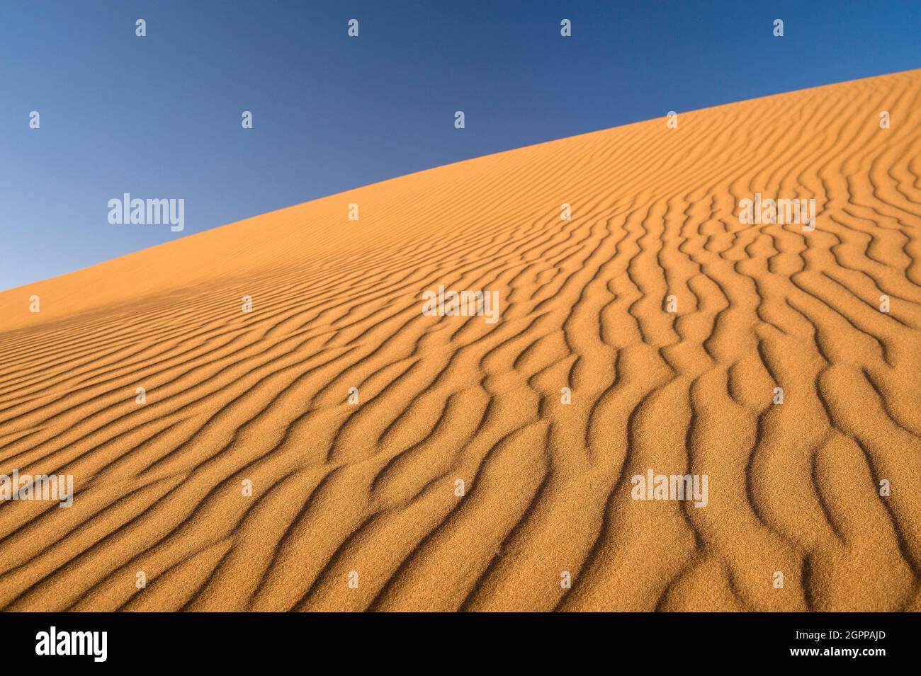 Morocco, Rippled sand of Erg Chigaga on Sahara Desert Stock Photo