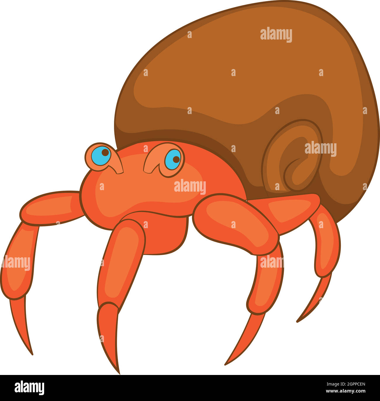 Hermit Crab Shell Drawing