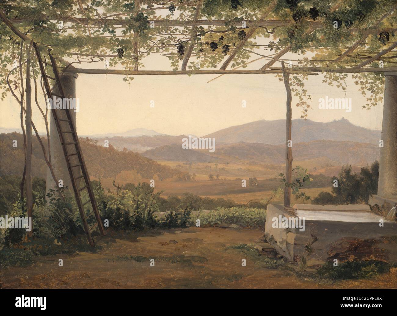 Grapevine pergola hi-res stock photography and images - Alamy