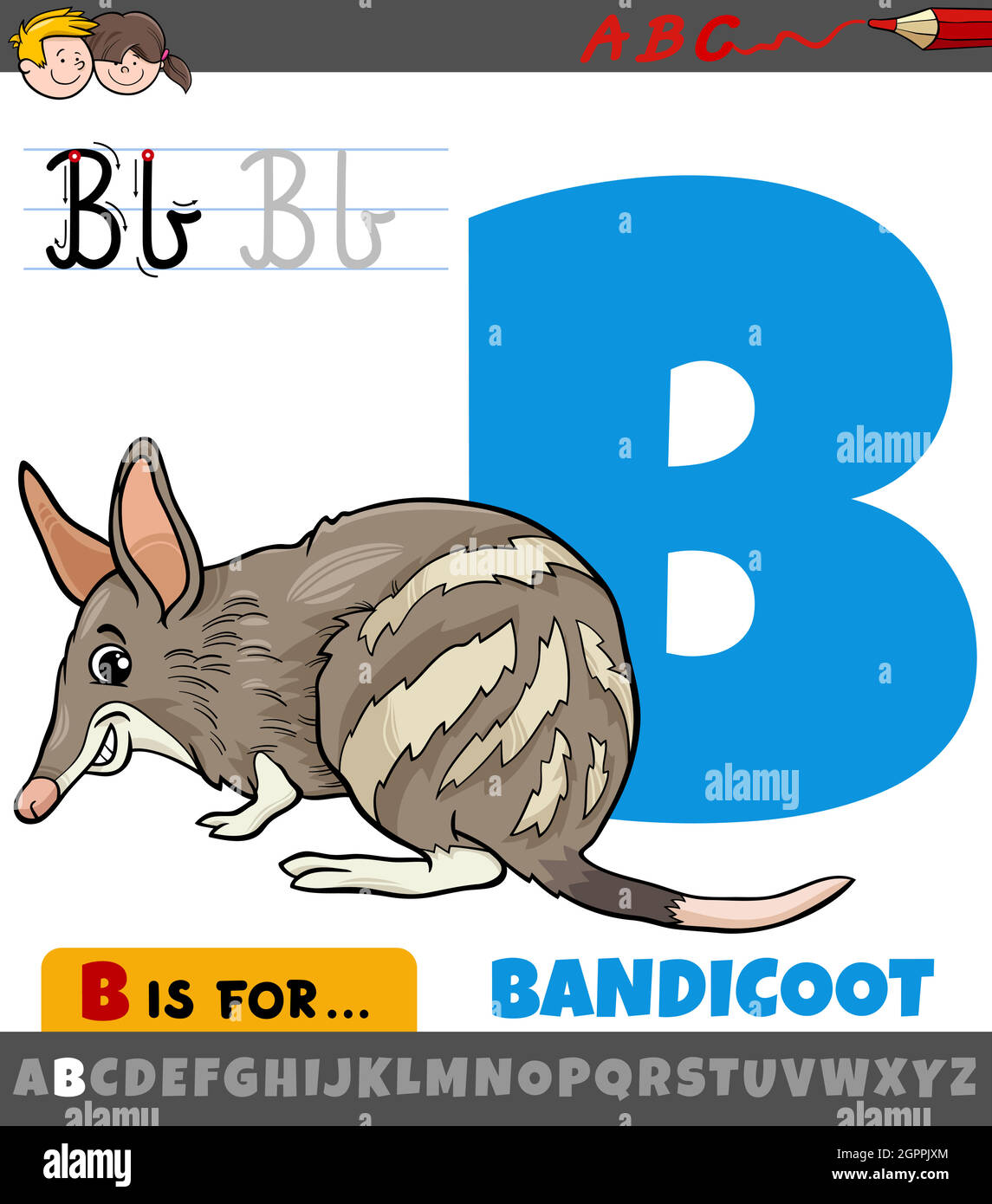 letter B from alphabet with cartoon bandicoot animal Stock Vector Image &  Art - Alamy