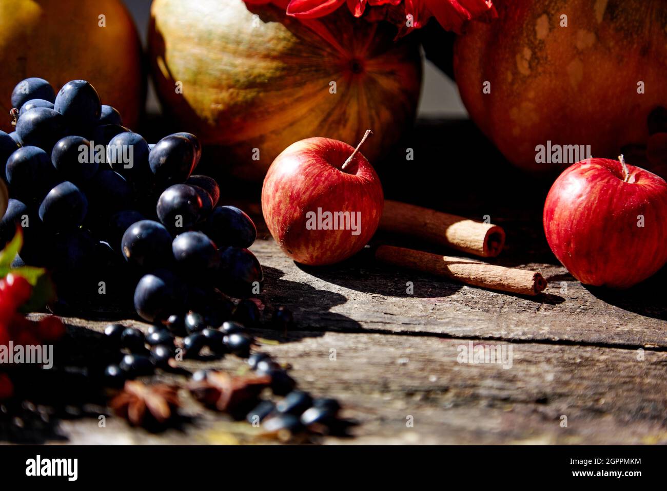 Autumn fair: pumpkin, grapes, apples, viburnum, currant and cinnamon sticks with high angle shadows on wooden table. Thanksgiving Day concept. Outdoor autumn background.Natural background. Copy space Stock Photo