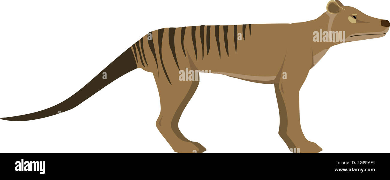 Thylacinus cynocephalus - Thylacine - Side view - Flat vector Stock Vector