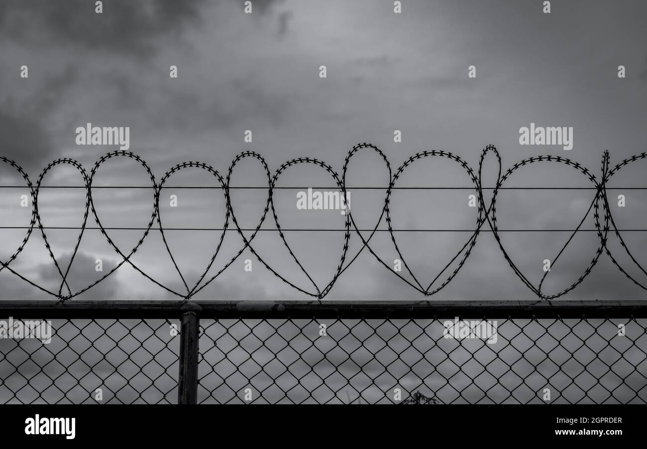 Prison Security Fence. Barbed Wire Security Fence. Razor Wire Jail Fence. Barrier Border. Stock Photo