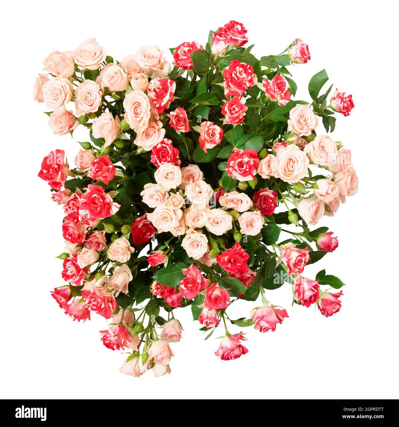 Boquet of red and yellow spray roses isolated on white background, clipping path Stock Photo