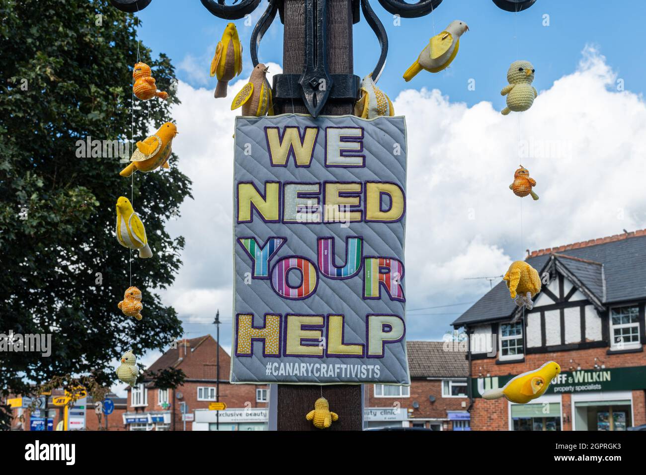 Frimley Green village sign with knitted or sewn canaries hanging from it by gentle climate activism movement called canary craftivists, Surrey, UK Stock Photo