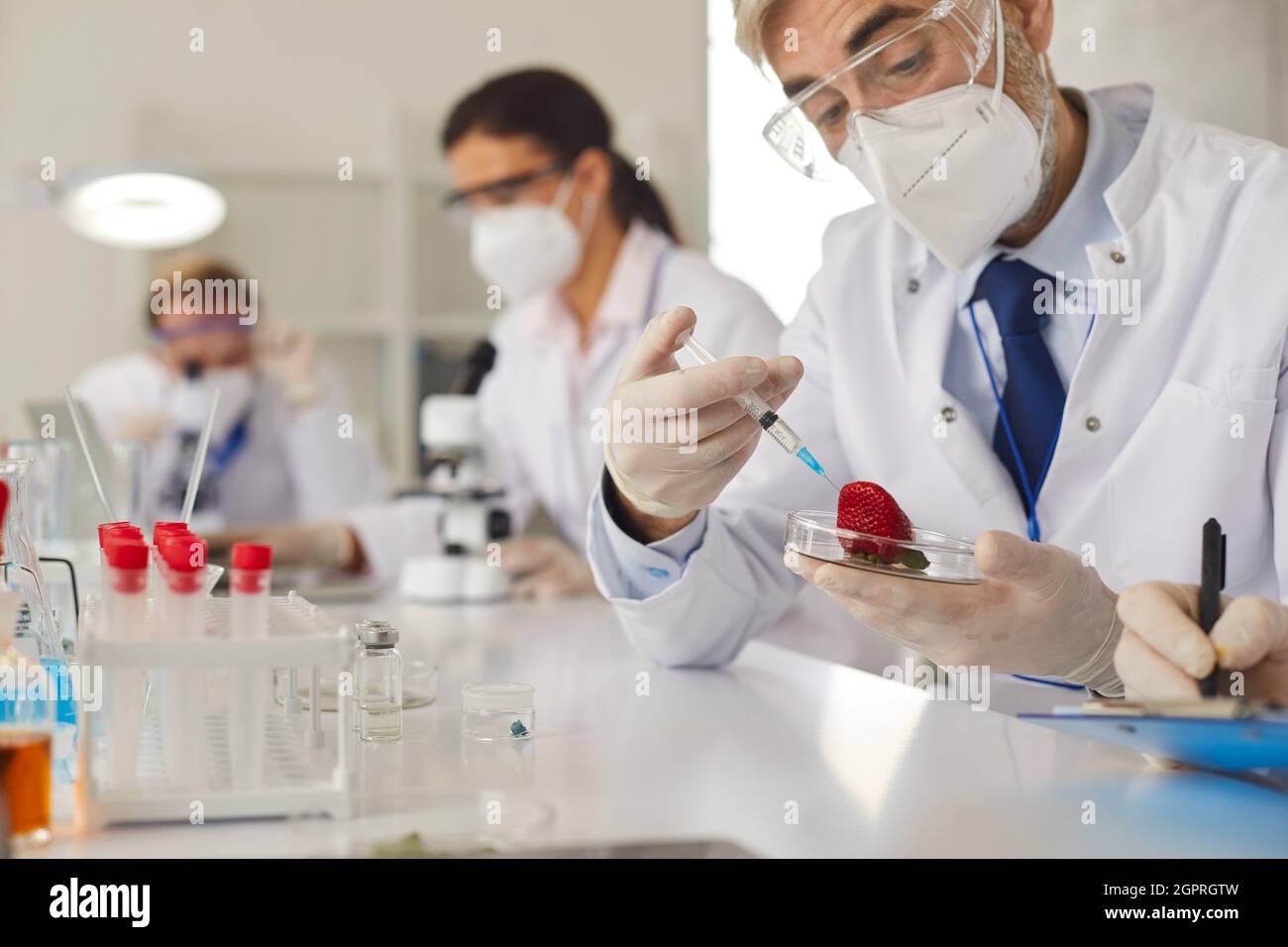 Genetic scientists working on GM tomatoes while doing research in modern food laboratory Stock Photo