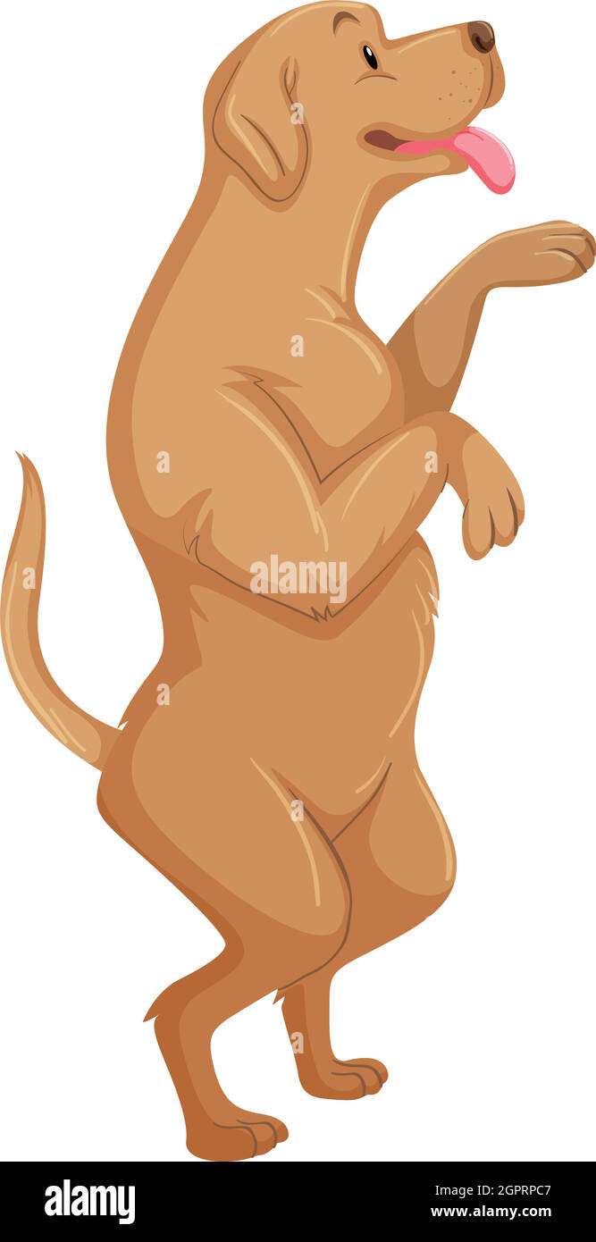 Cute dog standing on two legs Stock Vector Image & Art - Alamy