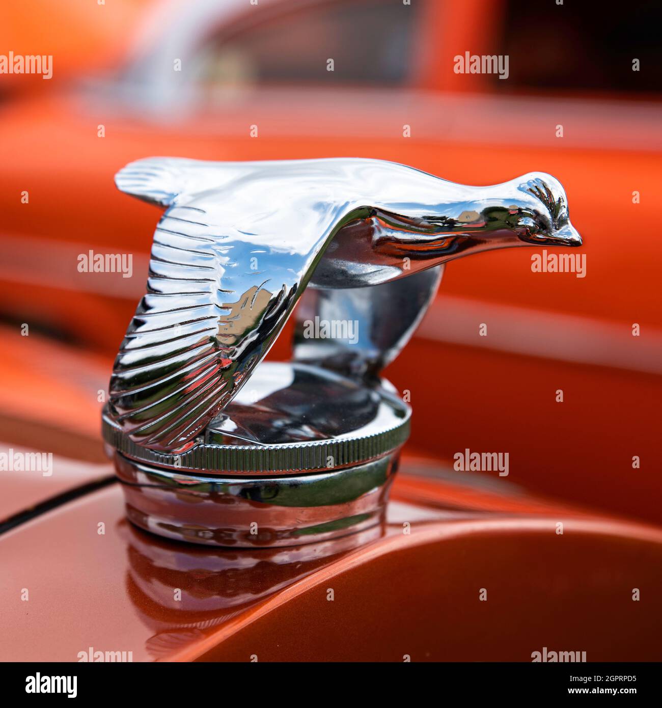 Ford Model A flying bird radiator Stock Photo