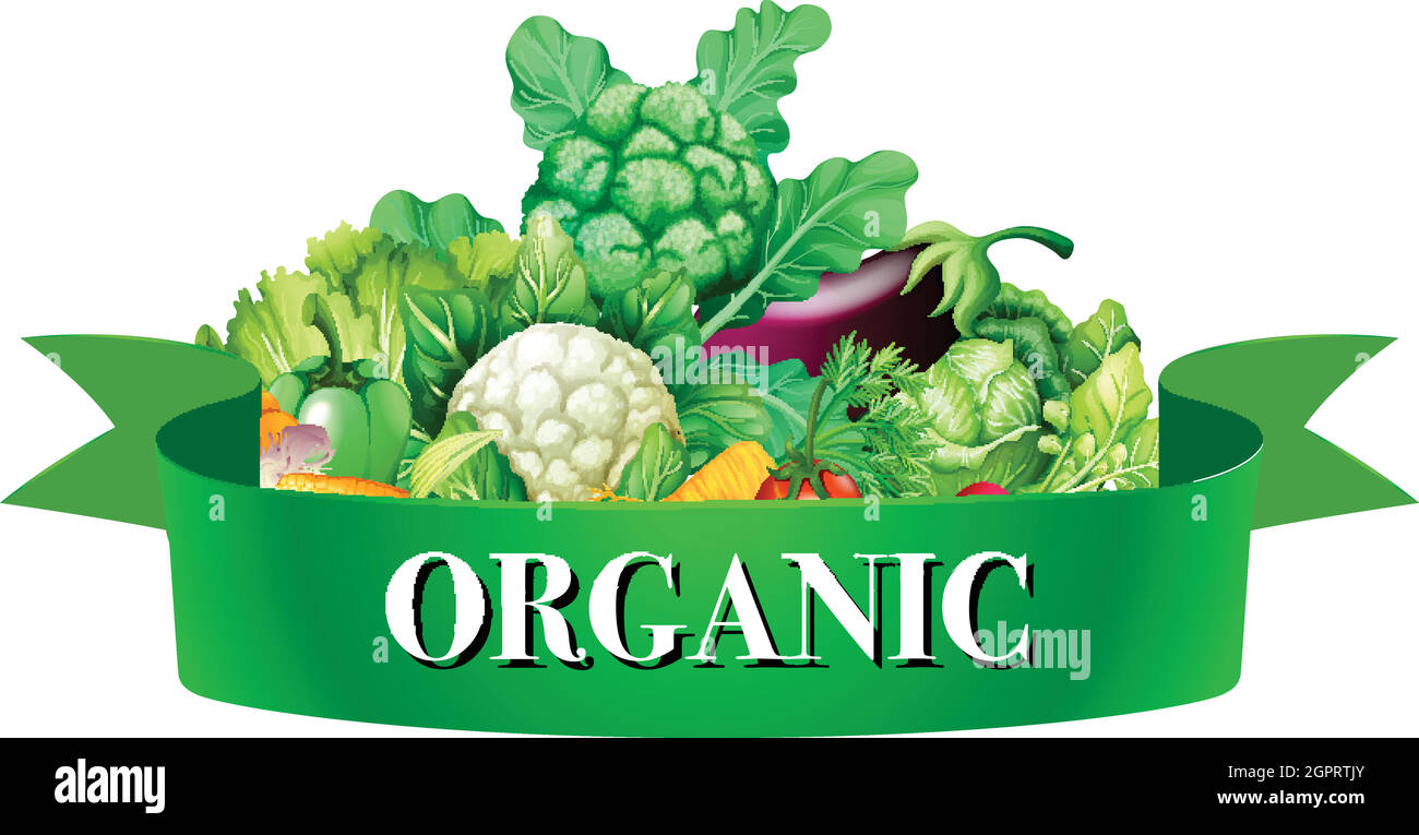 Fresh vegetables with banner Stock Vector Image & Art Alamy