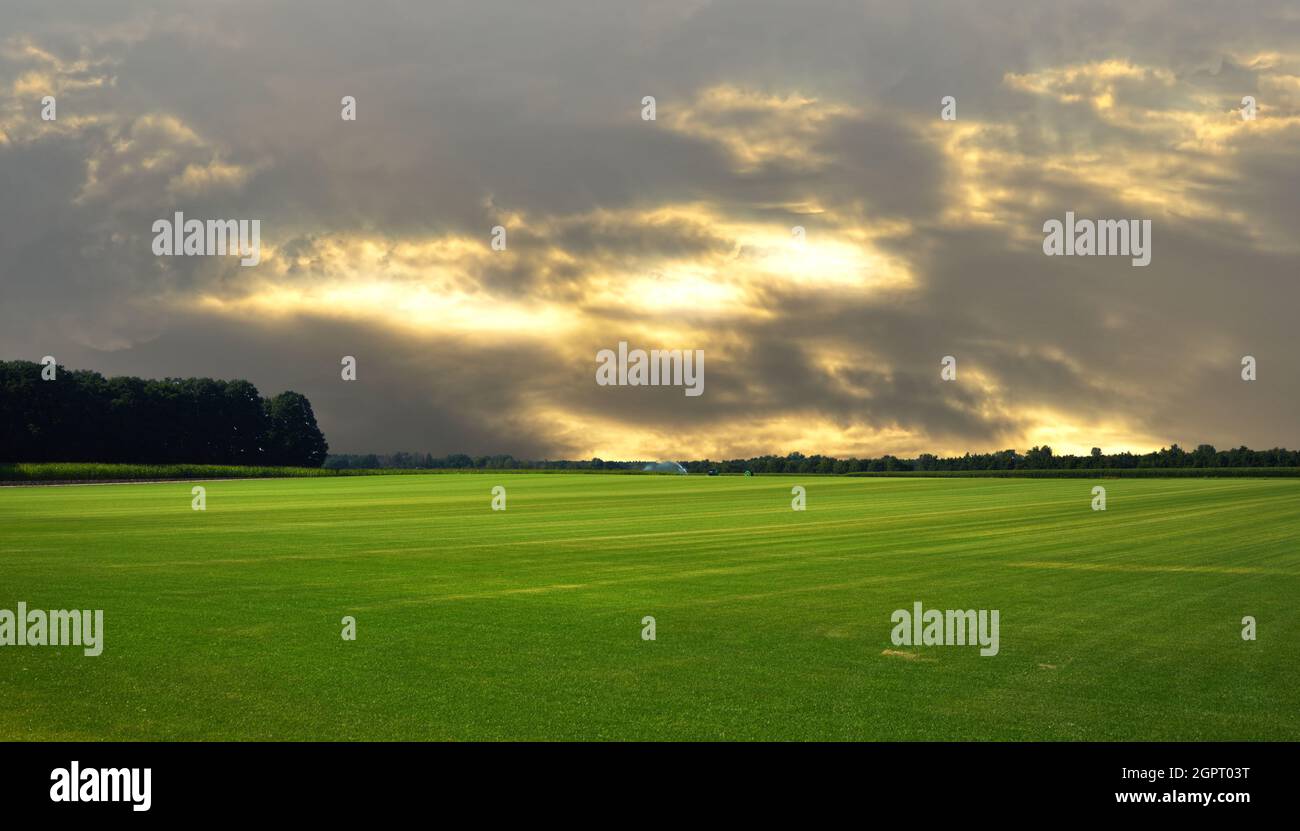 Huge green grassy plain under yellow orange evening sky with clouds and sun shining through Stock Photo
