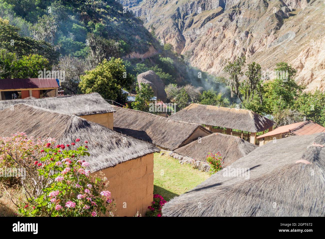 Dossel Verde De Bambu Em Selvas Da Alta Altitude Em Andes Peruanos Com  Montanhas Nuvem-cobertas, Peru Foto de Stock - Imagem de montanha,  floresta: 154208264