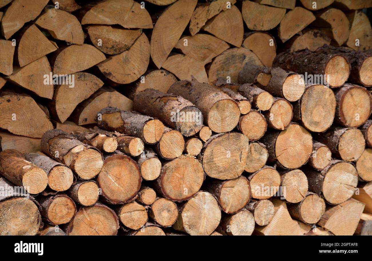Collection of wood to burn for heating in the winter season Stock Photo