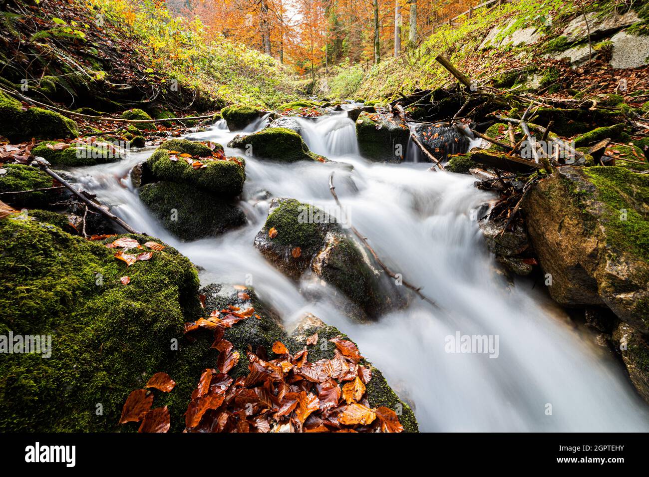 Magical shot of a waterfall in the middle of a forest during the day ...