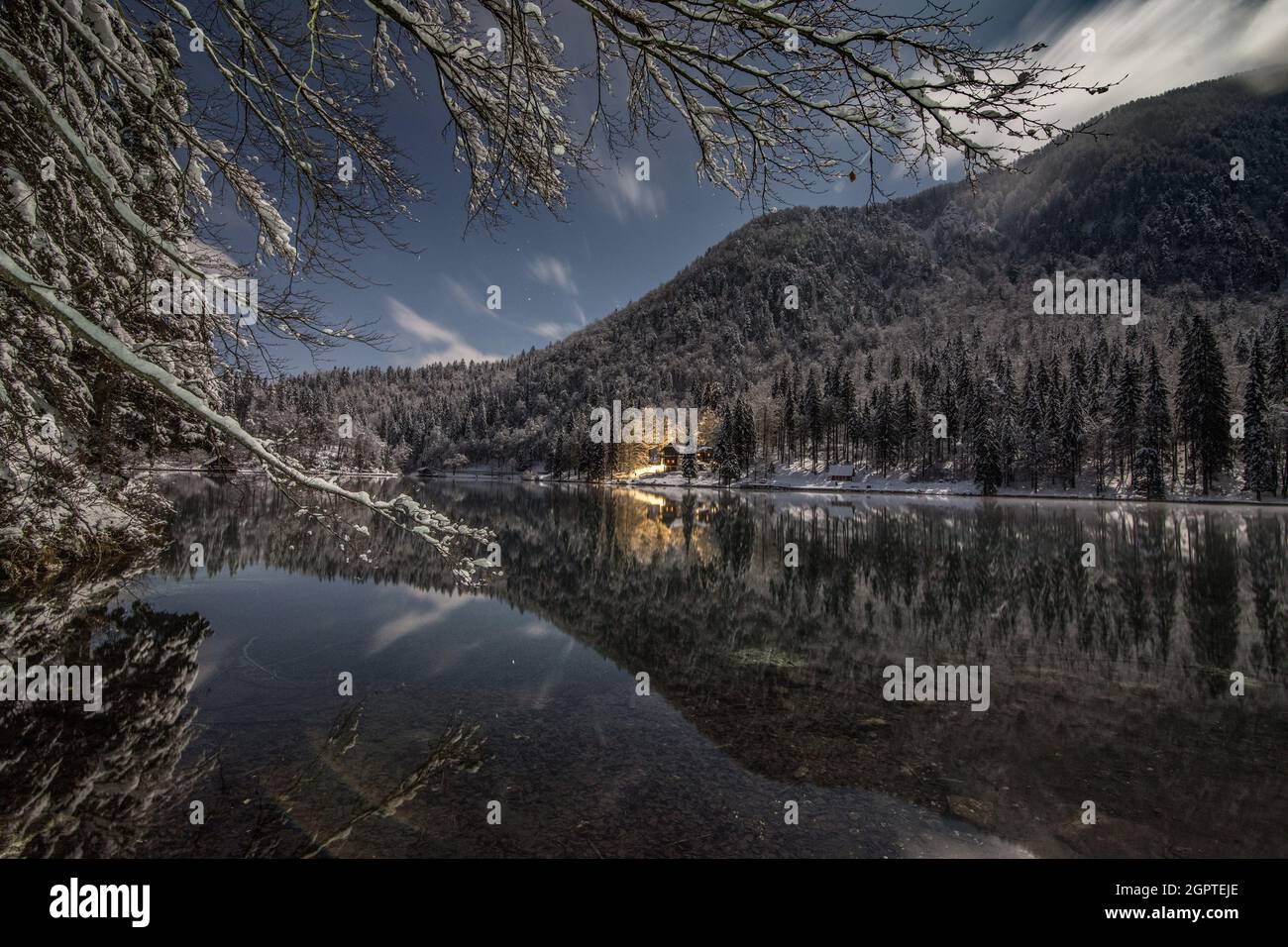 Beautiful shot of a river surrounded by a forest covered in snow Stock ...