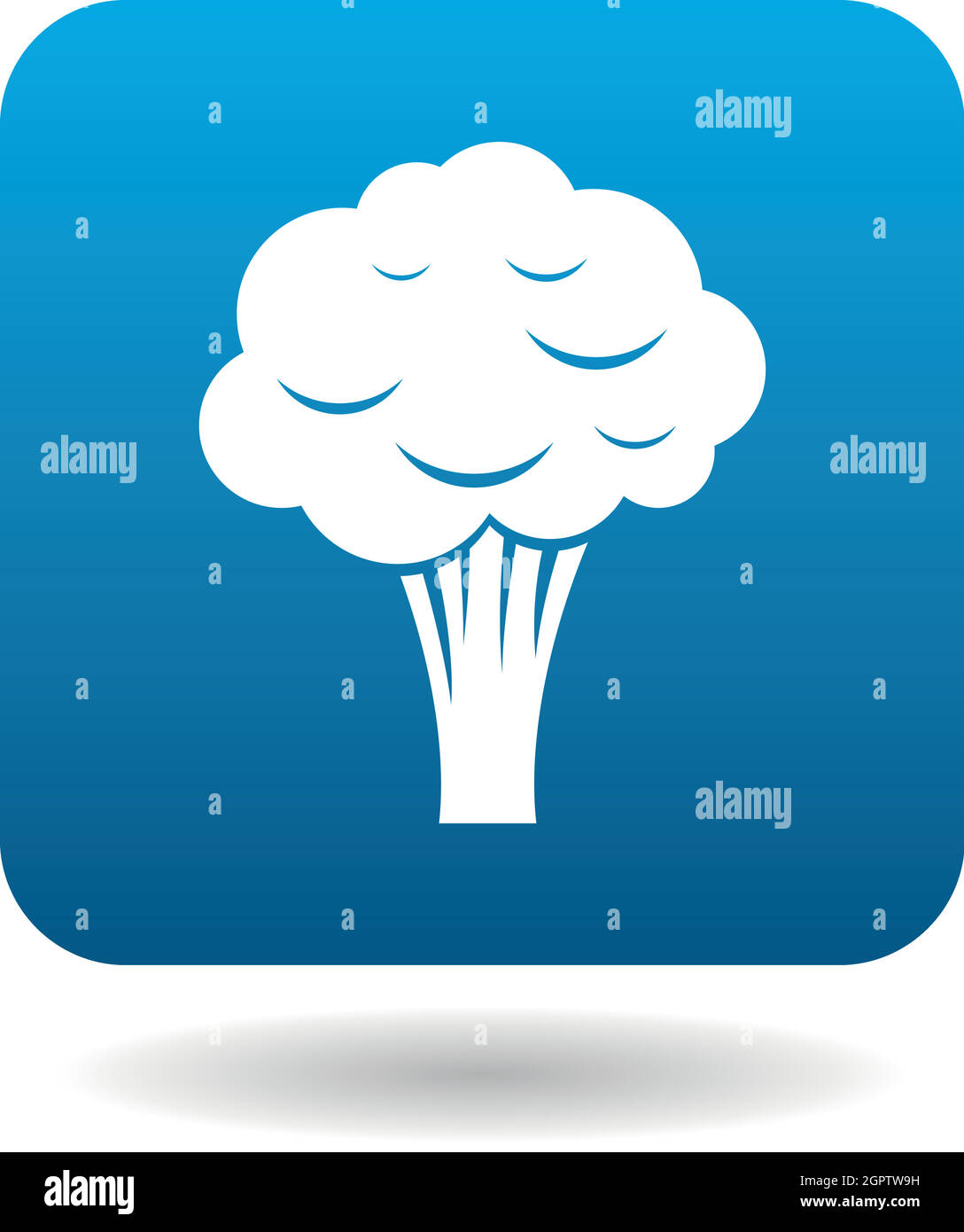 Broccoli icon in flat style Stock Vector Image & Art - Alamy