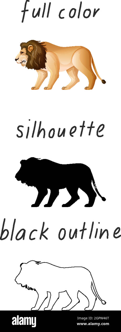 Set of lion in color, silhouette and black outline on white background Stock Vector