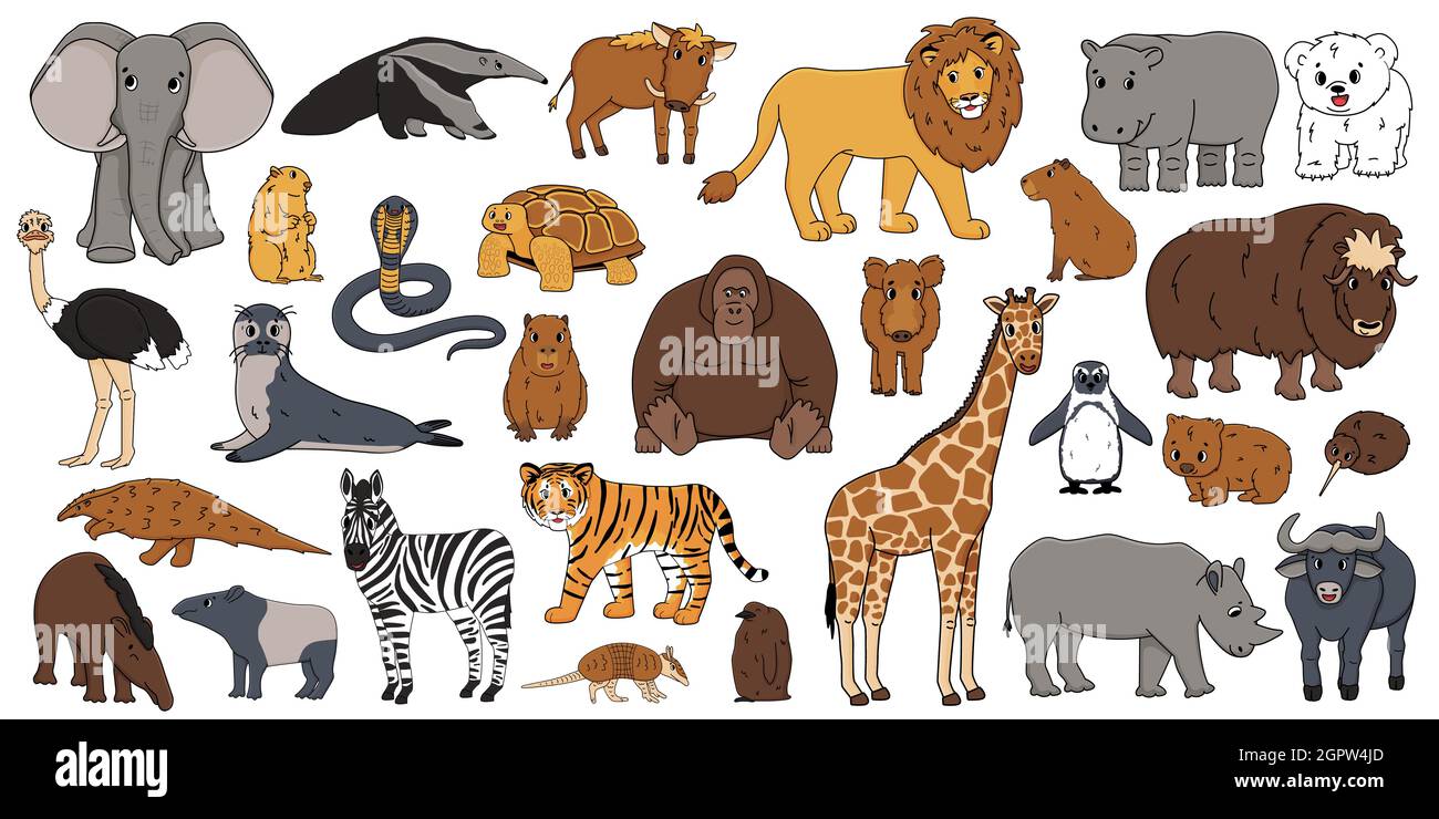 Ostri Stock Vector Images Alamy