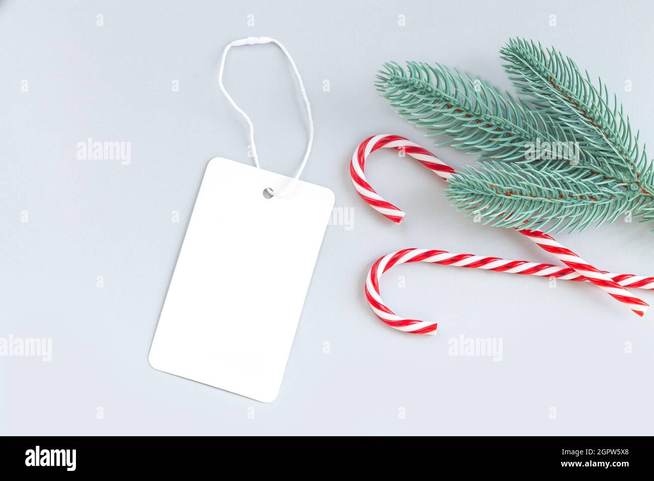 Christmas sale background with blank paper price tag, xmas tree branch