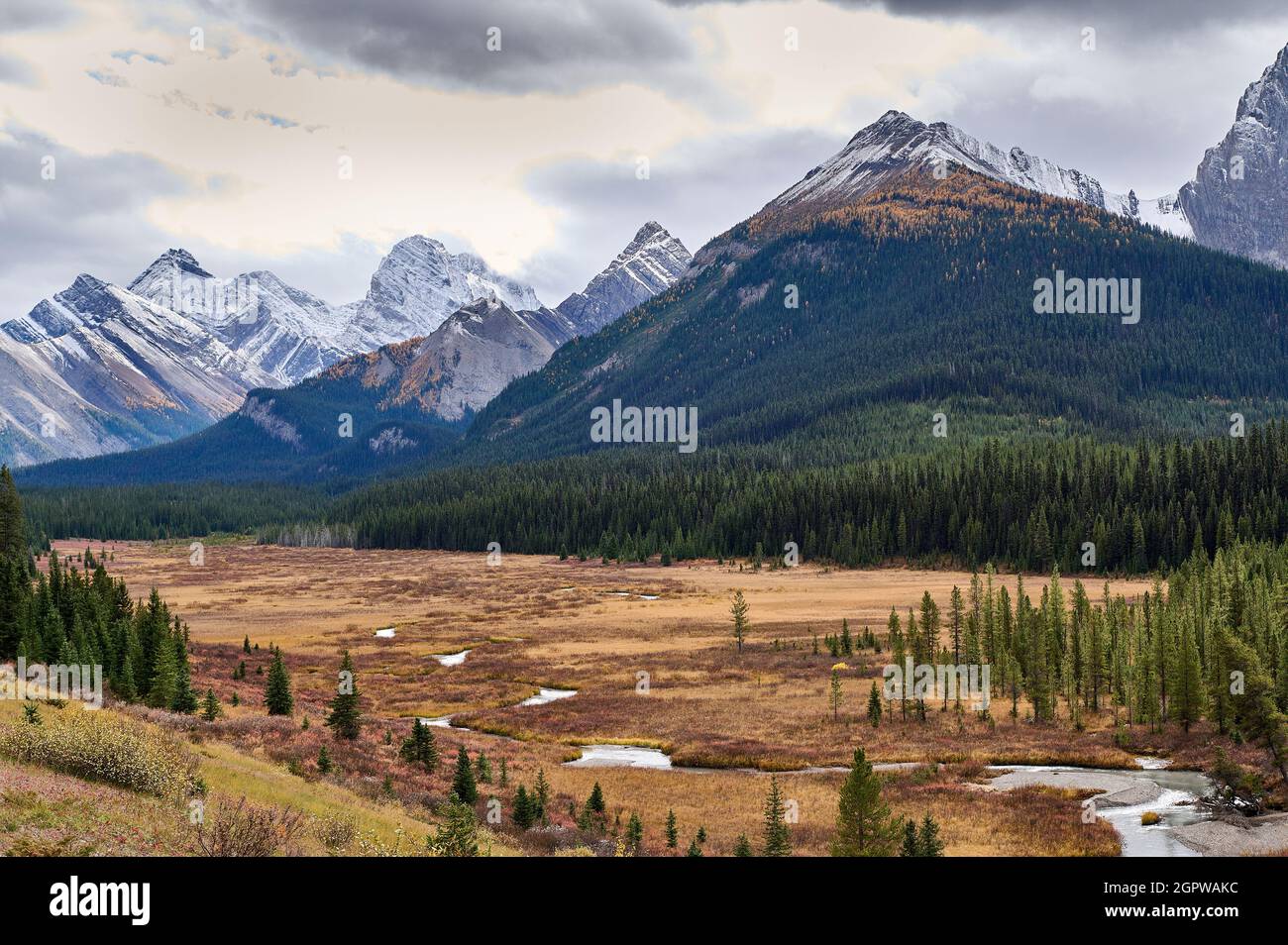 Mountains (L to R) Mount Murray, Mount French, Mount Burstall (Nearest has no name) , Spray Valley Provincial Park, Kananaskis Country, Alberta, Canad Stock Photo