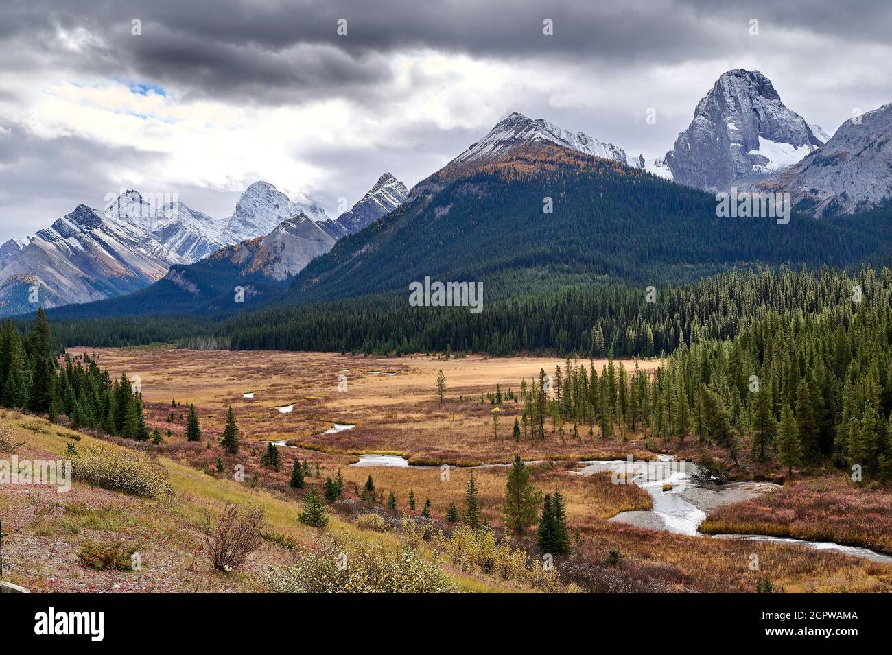 Mountains (L to R) Mount Murray, Mount French, Mount Burstall Commonweath Peak, Spray Valley Provincial Park, Kananaskis Country, Alberta, Canada, Stock Photo