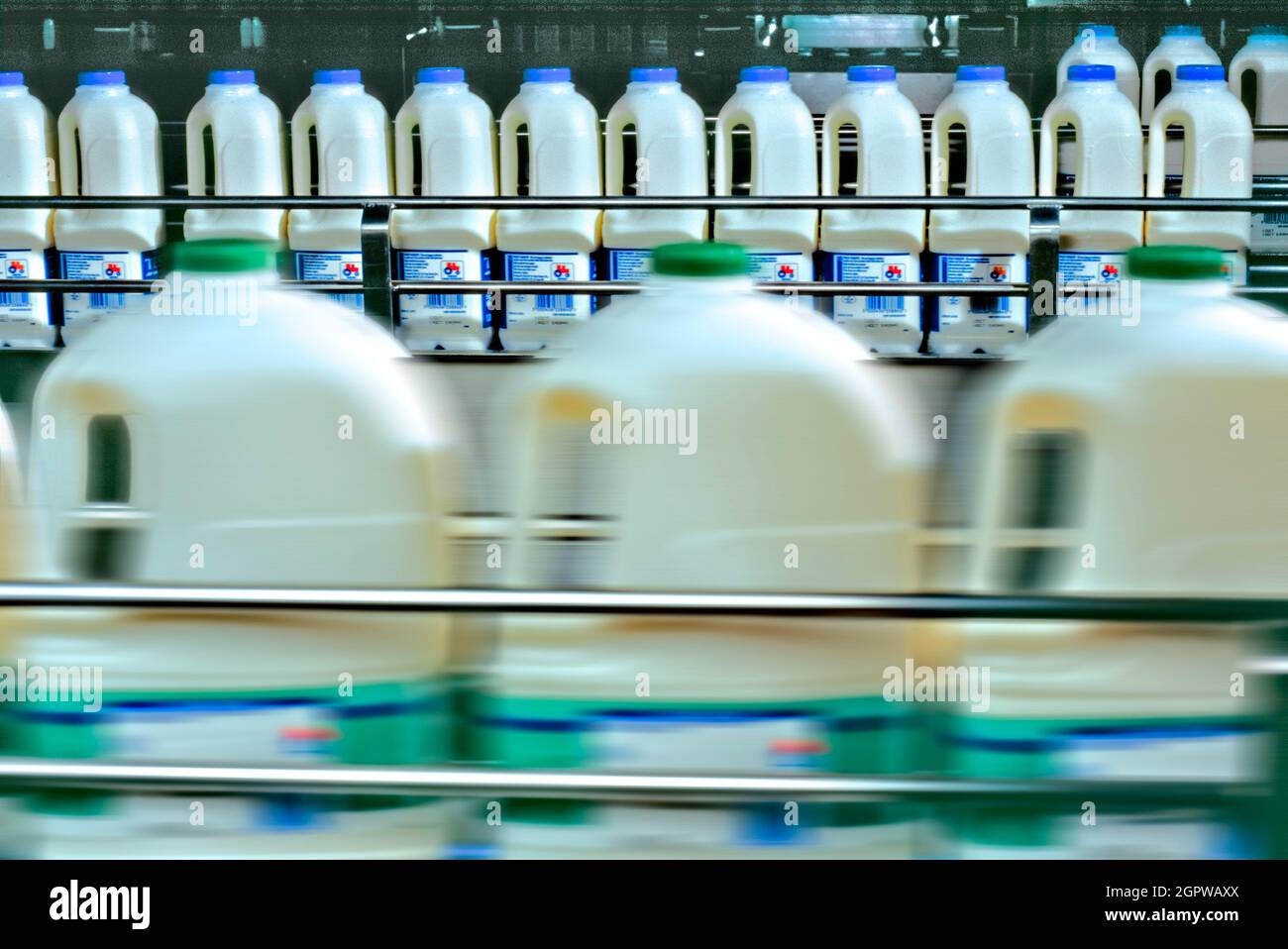 Milk processing plant. Stock Photo